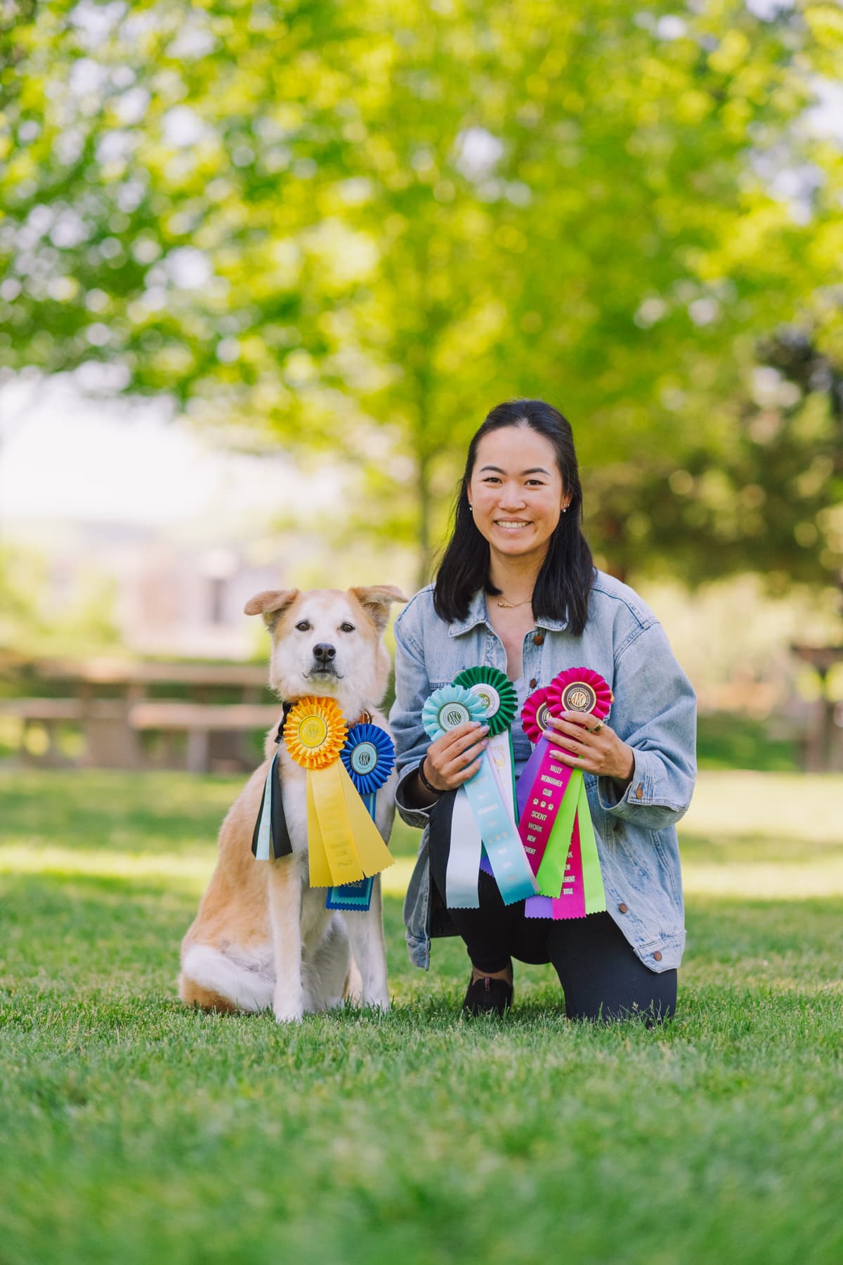 Cat and Kirby with ribbons