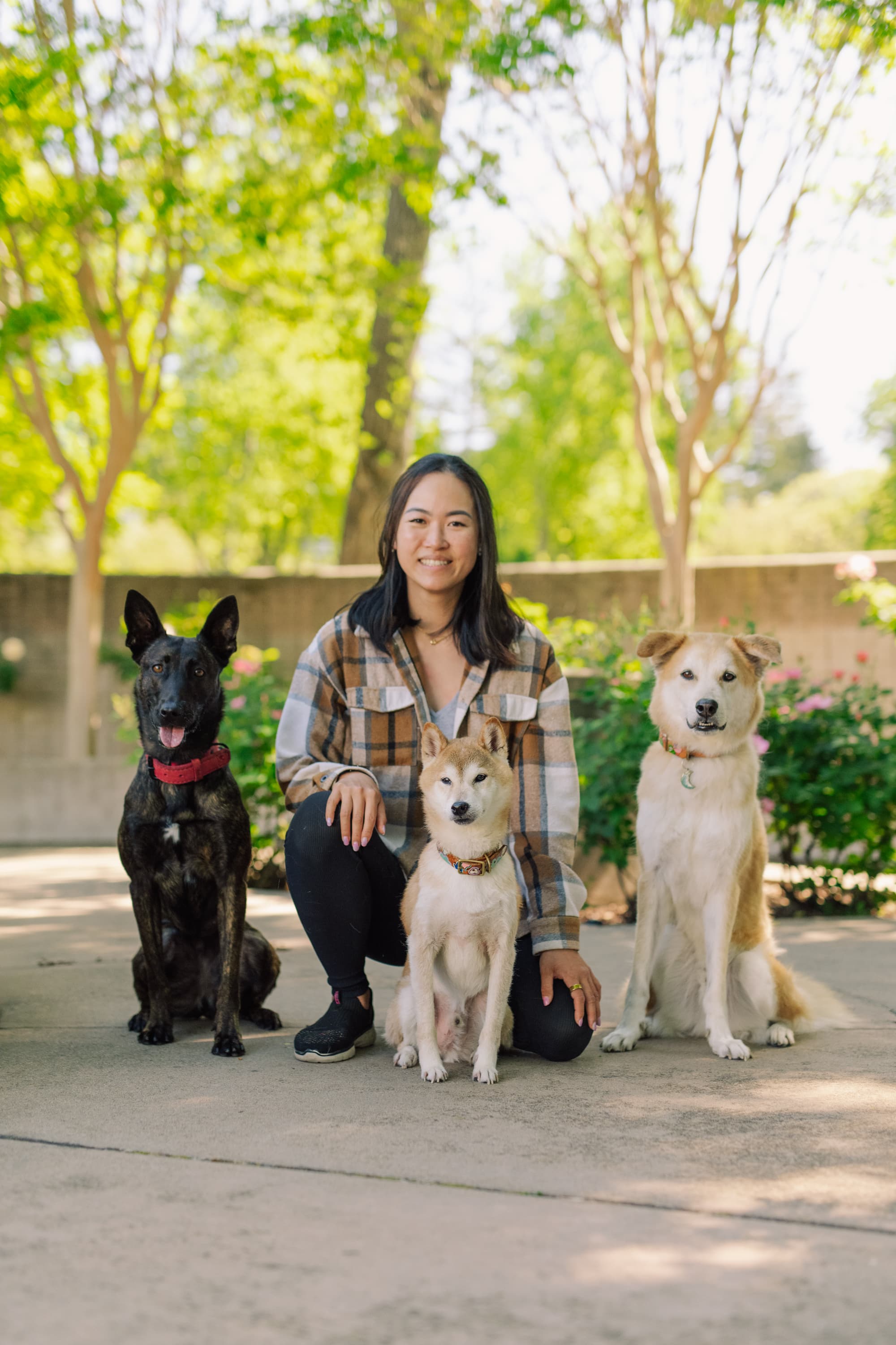Catherine Yu with her pack: Kirby, Jinx, and Azuki