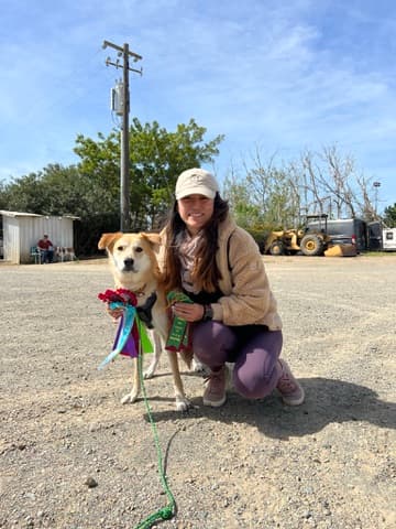 Cat and Kirby training